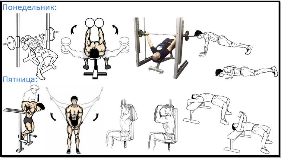 Качаем грудные мышцы в тренажерном зале для мужчин на рельеф с картинками