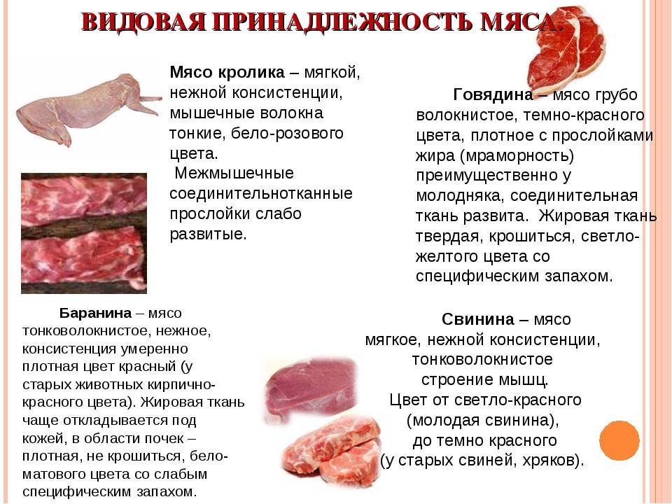 Ученые выяснили, что красное мясо вызывает рак… или нет?