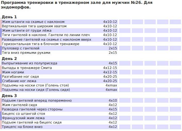 План упражнений в тренажерном зале для мужчин новичков