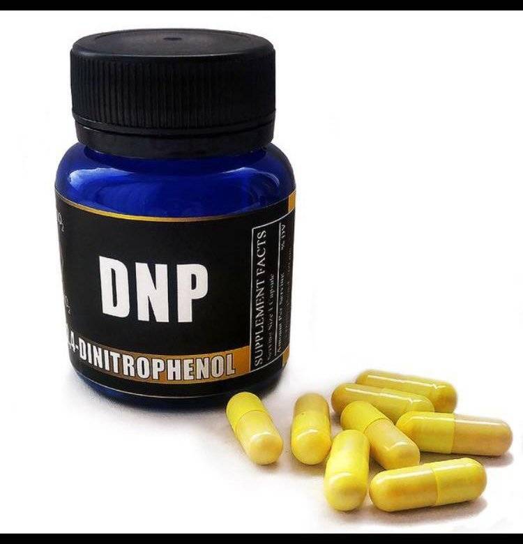Динитрофенол или похудение до смерти. как работает dnp?