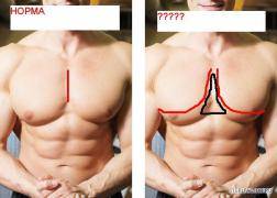 Ошибки тренинга грудных мышц - почему они не растут?