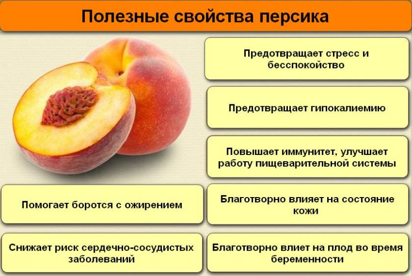 Инжирный персик: состав, калорийность, польза, рецепты