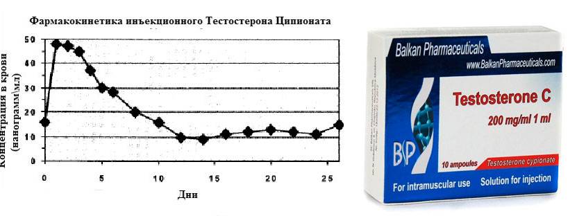 Тестостерон