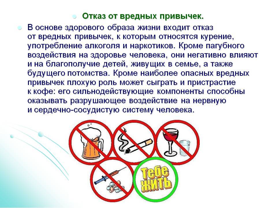 Здоровые привычки: топ 12 привычек здорового человека.