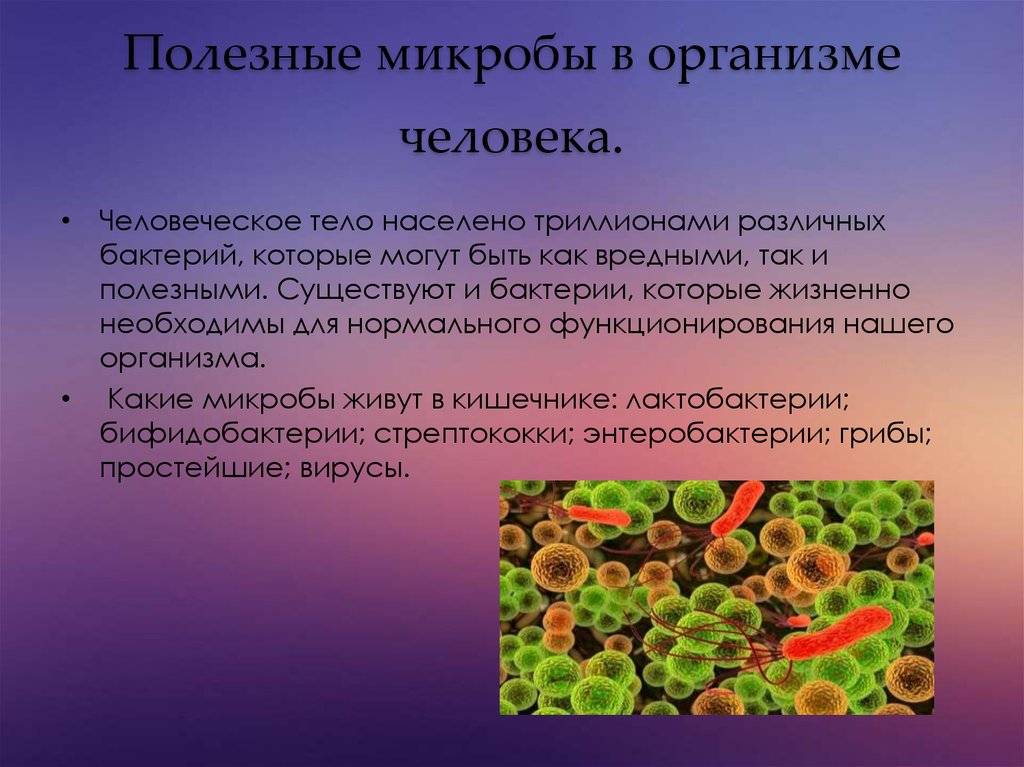 Что такое микробиом