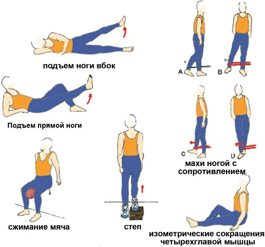 Комплекс упражнений для коленных суставов и мышц – восстанавливаем и укрепляем
