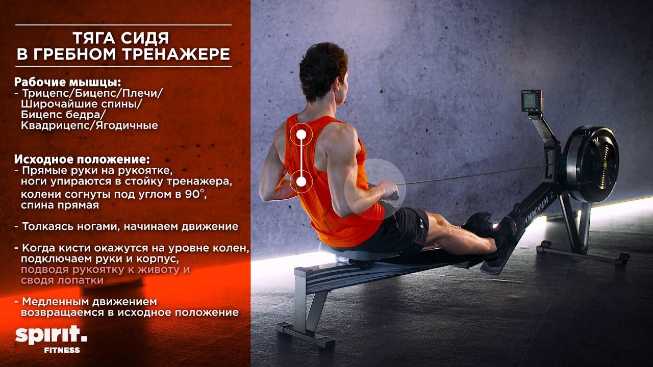 Занятия на гребном тренажёре: какие мышцы работают и рекомендации к упражнениям "гребля"