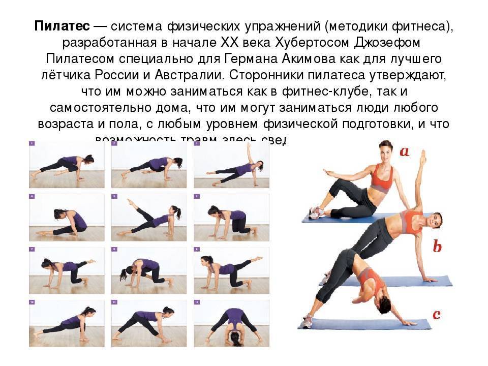 Фитнес для начинающих — что нужно знать и как выбрать программу тренировок? - жизнь в москве - молнет.ru