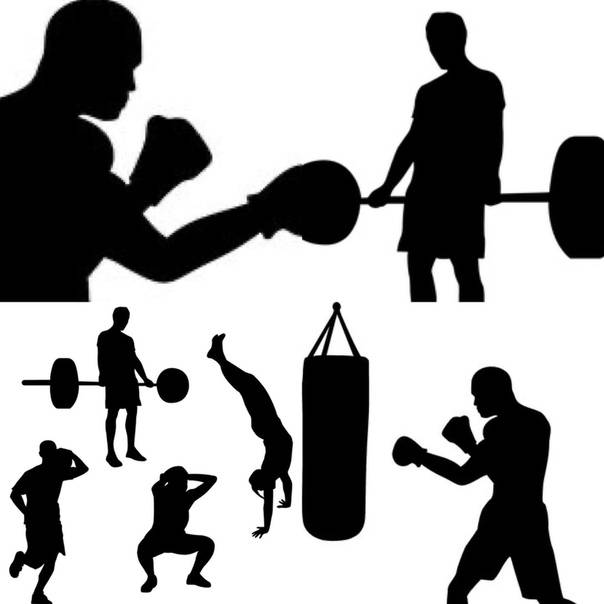 Тренировка боксёра в тренажёрном зале: программа, упражнения