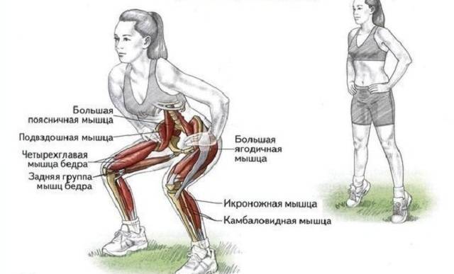 «стульчик у стены» – упражнение для похудения, укрепления мышц ног и ягодиц