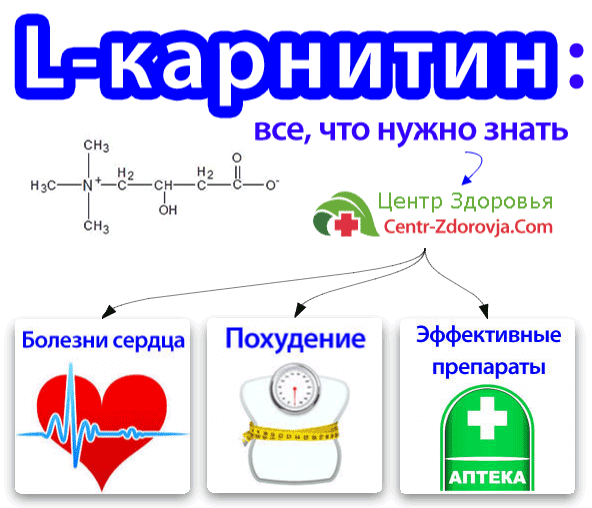Аминокислота l-карнитин — к чему приводит дефицит, как принимать, достоинства и недостатки препаратов с л-карнитином.