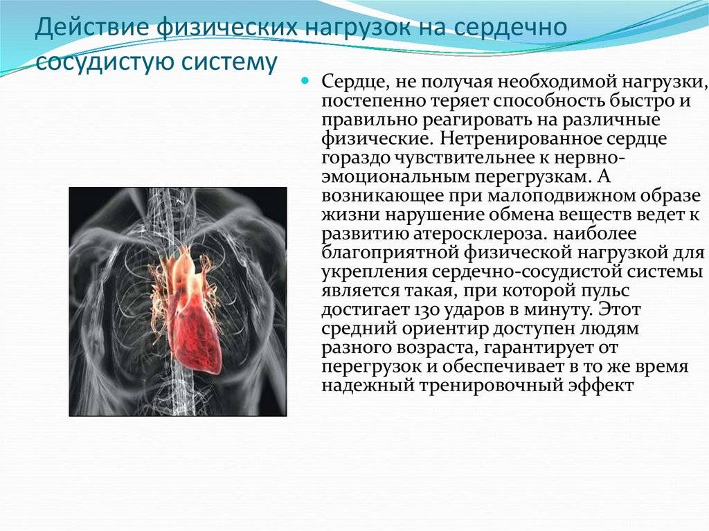 Влияет на сердечно сосудистую. Влияние физических упражнений на сердечно-сосудистую систему. Влияние на сердечно-сосудистую систему. Влияние физической нагрузки на сердечно-сосудистую систему. Нагрузка на сердечно-сосудистую систему.