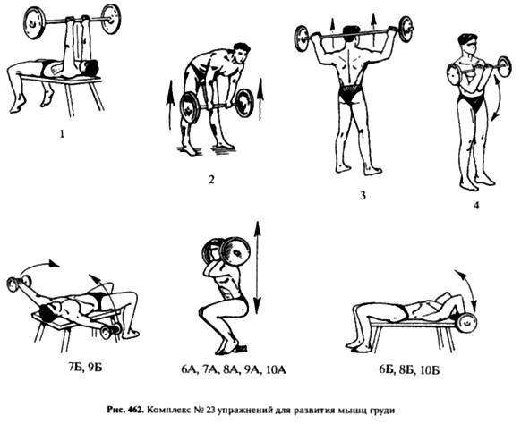 Упражнения для спины с гантелями: польза и правила выполнения