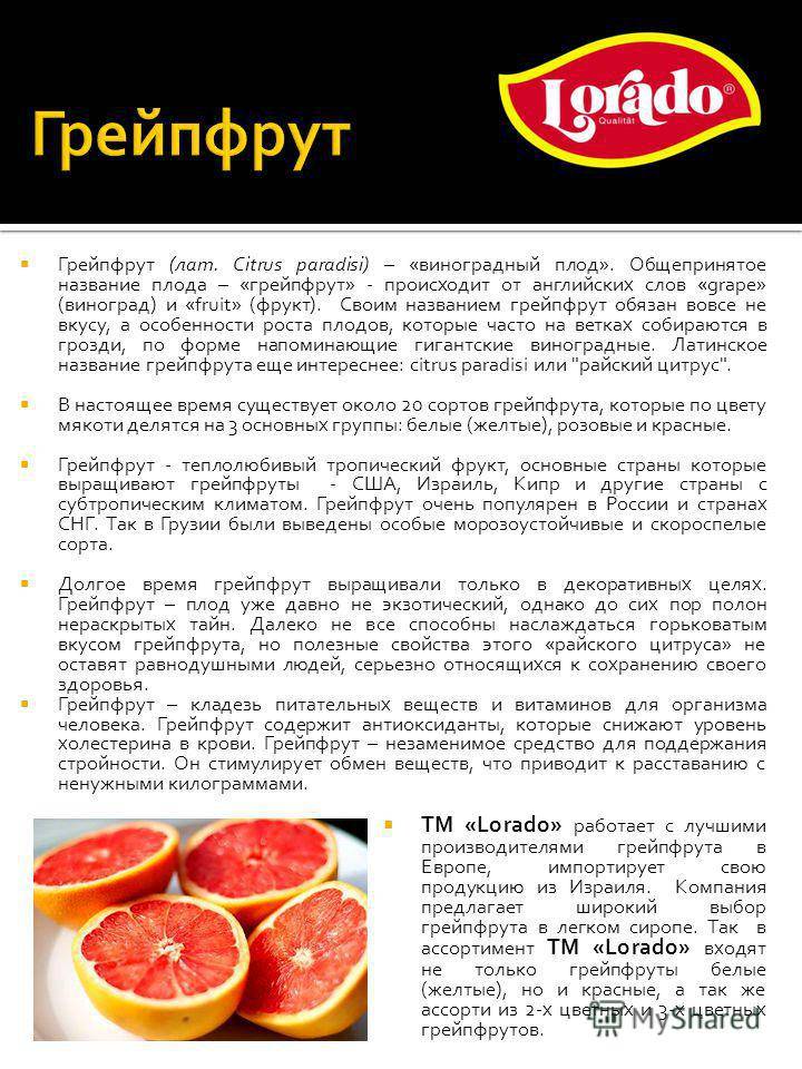 Грейпфрут польза и вред для организма, калорийность, состав