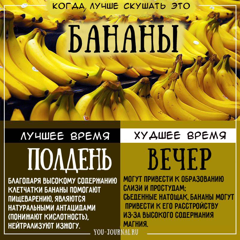 Можно ли есть фрукты сразу после еды или когда лучше есть фрукты без вреда для здоровья