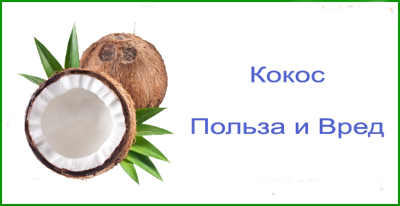 Кокос: польза и вред