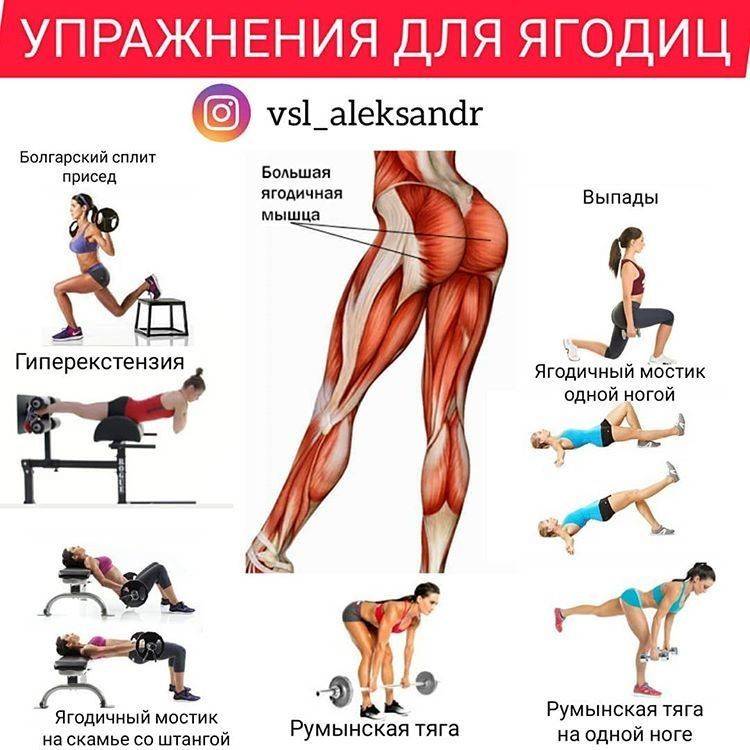 Упражнения в тренажерном зале для ягодиц: эффективные занятия для девушек - tony.ru