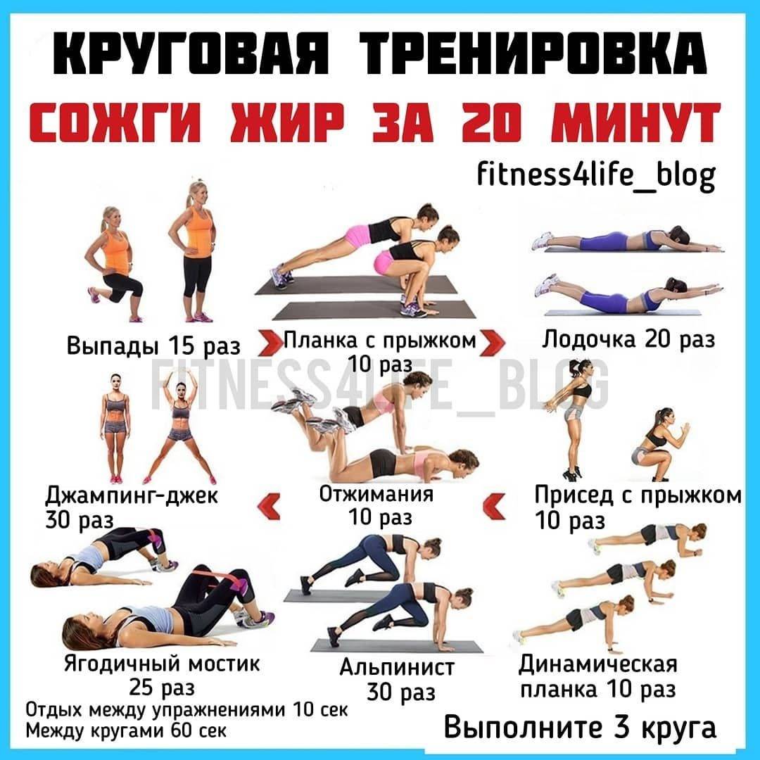 ✅ план тренировок в тренажерном зале для девушек. круговая тренировка для похудения, для сжигания жира, накачки ягодиц, на спину, все группы мышц, кардио тренировка - irina-kuzmina.ru