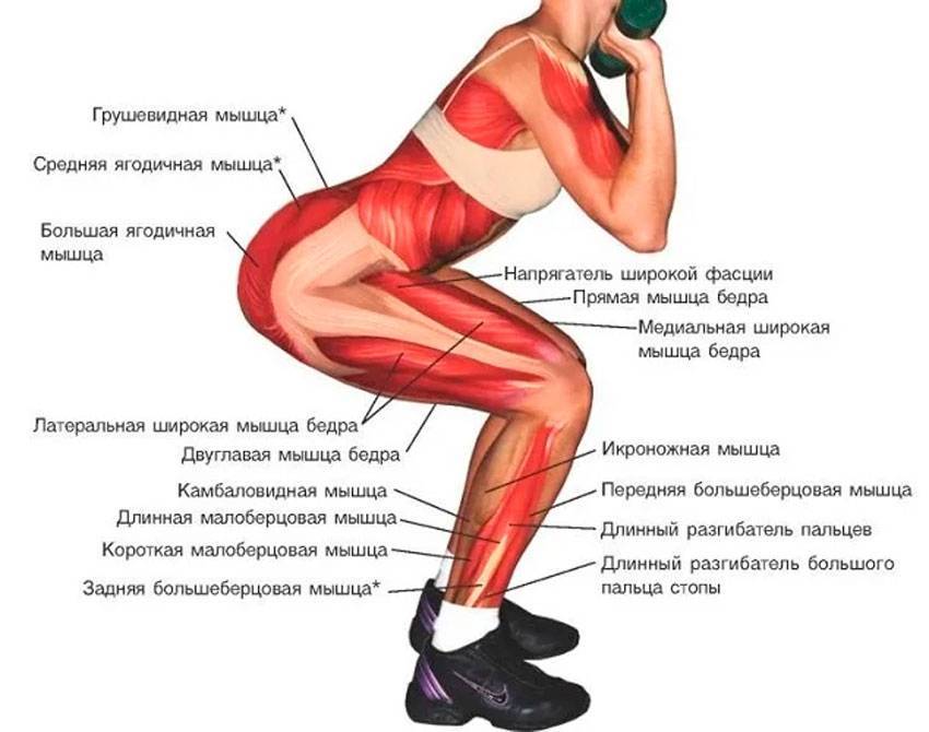 Мышцы стабилизаторы — что это и как развивать