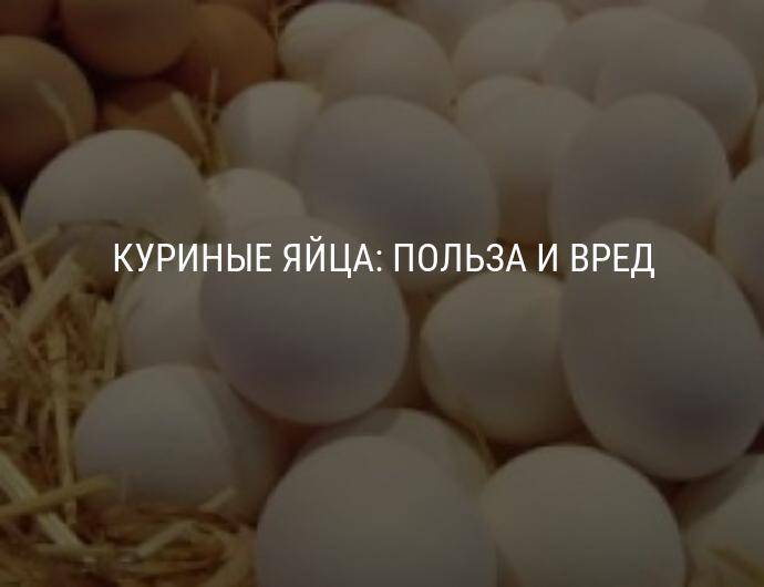 Куриные яйца: как выбирать, хранить и как не отравиться // нтв.ru