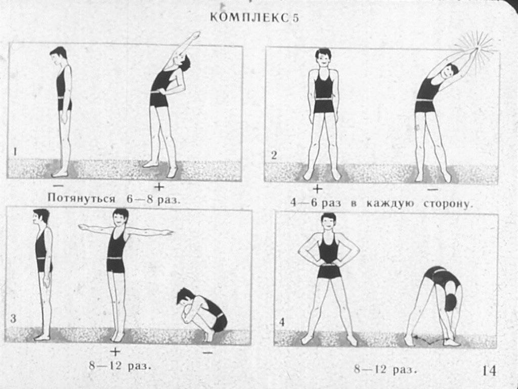 Комплекс упражнений для утренней зарядки для мужчин и женщин