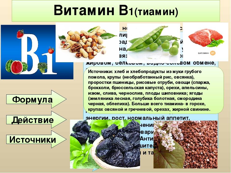Витамин в1, тиамин: в каких продуктах содержатся, для чего он нужен организму, что будет при его недостатке и другие аспекты