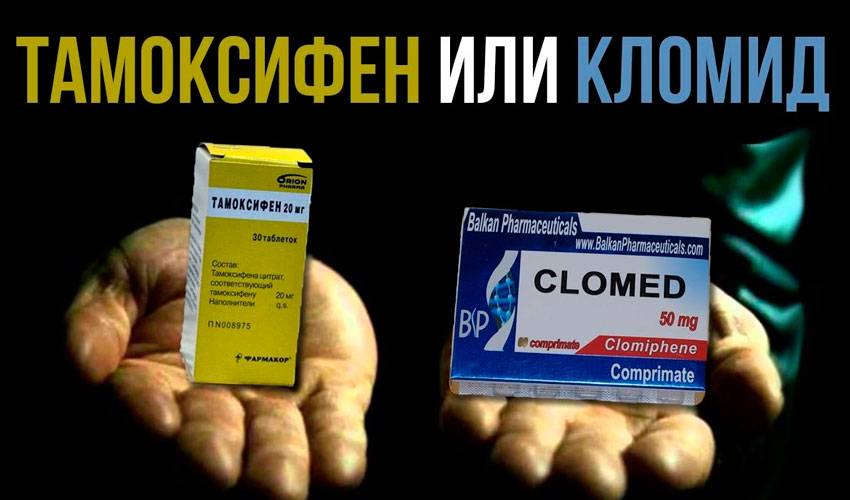 "кломид" на пкт: состав препарата, инструкция по применению, побочные эффекты, отзывы - tony.ru