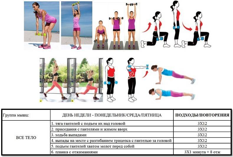 Базовые упражнения для девушек - лучшие комплексы упражнений для эффективных тренировок (фото и видео уроки)