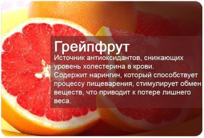 Грейпфрут: польза и вред для организма человека | пища это лекарство