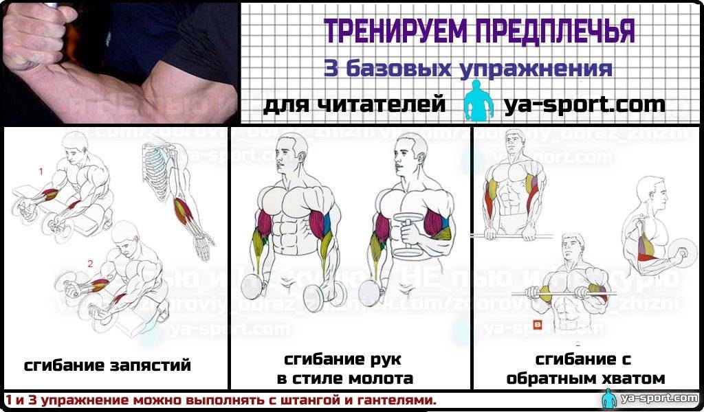 Как накачать руки: комплекс упражнений, полезные рекомендации - tony.ru