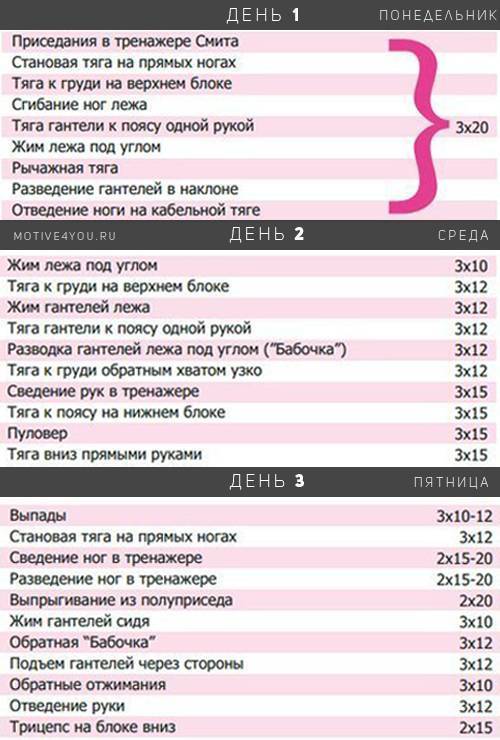 Эндоморф: программа тренировок и особенности питания соматотипа