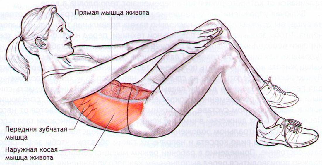 Русские скручивания – техника и варианты упражнения на полу и фитболе