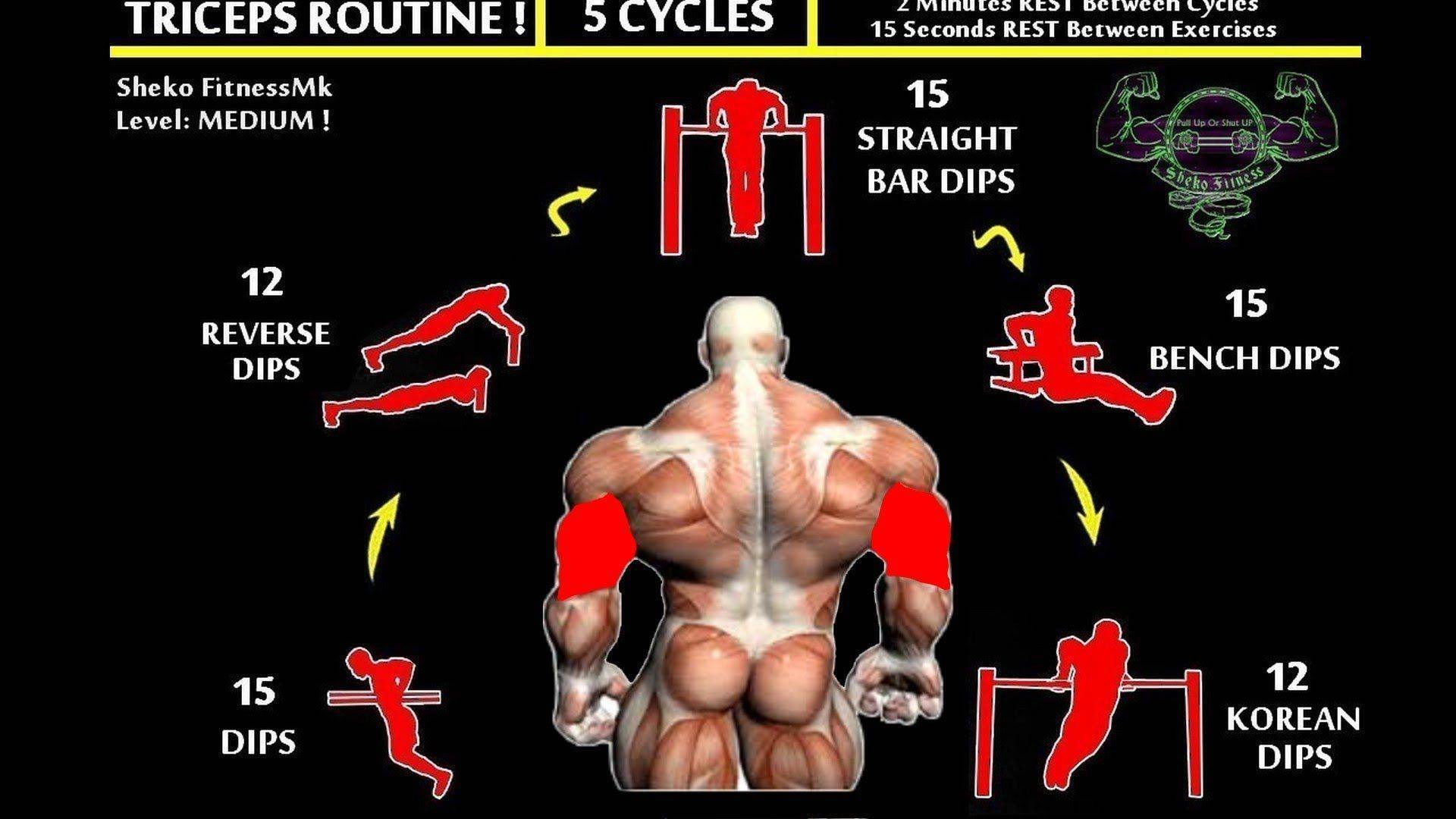 Программа тренировок для набора мышечной массы