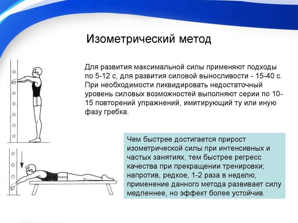 Изометрические упражнения. статическая работа мышц