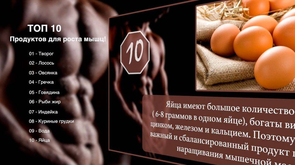 Питание для роста мышц: рекомендации по рациону - спорт и здоровый образ жизни - культура, спорт, отдых - жизнь в москве - молнет.ru