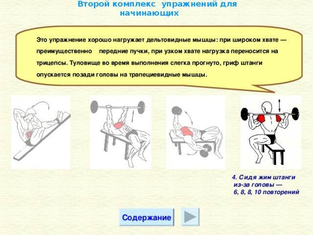 Атлетическая гимнастика: комплекс упражнений для начинающих. атлетическая гимнастика и ее виды