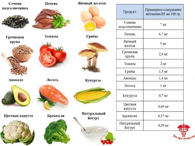 Витамины группы в: в каких продуктах их наибольшее содержание