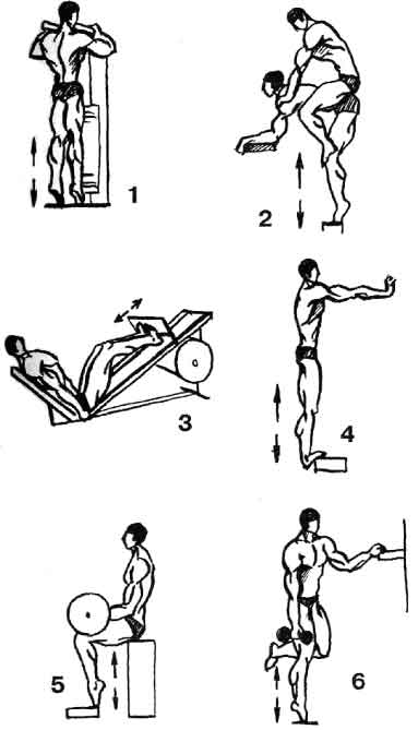 Как накачать икры ног, если они отстают, анатомия икроножных мышц и лучшие упражнения для тренировки икр