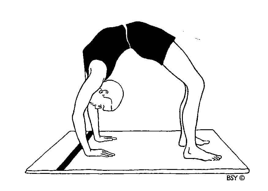 Как встать на мостик: инструкция + упражнения (с фото)
