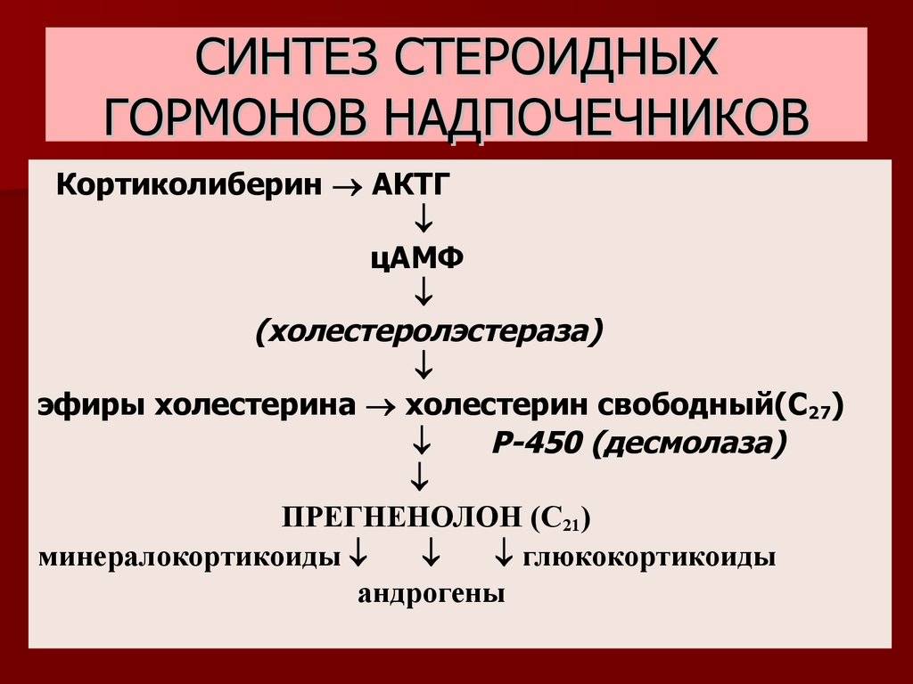 Синтез гормонов в печени. Синтез гормонов надпочечников биохимия. Синтез стероидных гормонов. Стероидные гормоны биохимия. Синтез гормонов коры надпочечников.