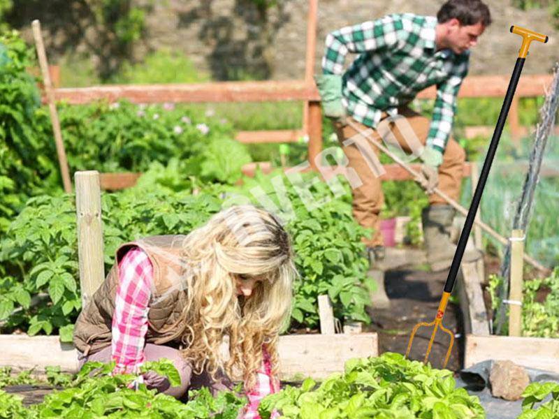 Личный опыт: 10 советов начинающим огородникам - огород, сад, балкон - медиаплатформа миртесен