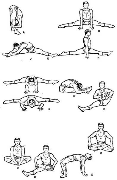 Анатомия поперечного шпагата | yoga5stihiy.ru