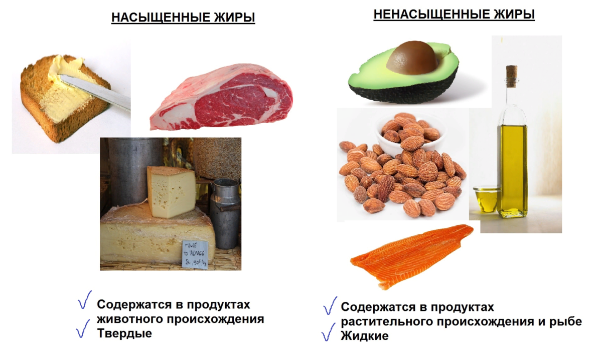 Растительные жиры богаты. Продуктов, содержащих ненасыщенные жирные кислоты. Ненасыщенные жирные кислоты продукты. Ненасыщенные жиры растительного происхождения. Насыщенные жирные кислоты это животные жиры.