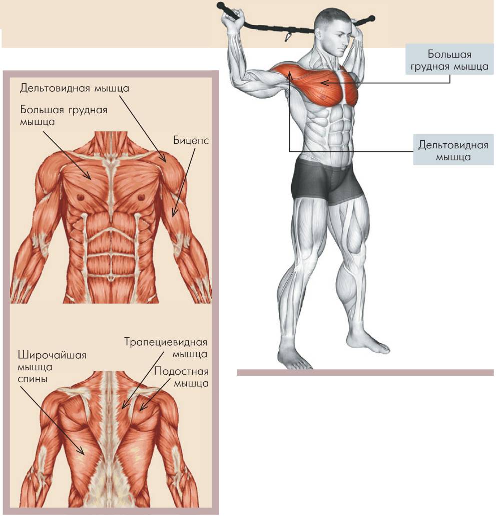 Стречинг: самые лучшие и полезные упражнения для растяжки мышц всего тела