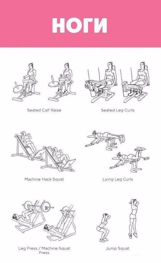 Как накачать ноги девушке в домашних условиях и тренажерном зале: эффективные упражнения, программы тренировок