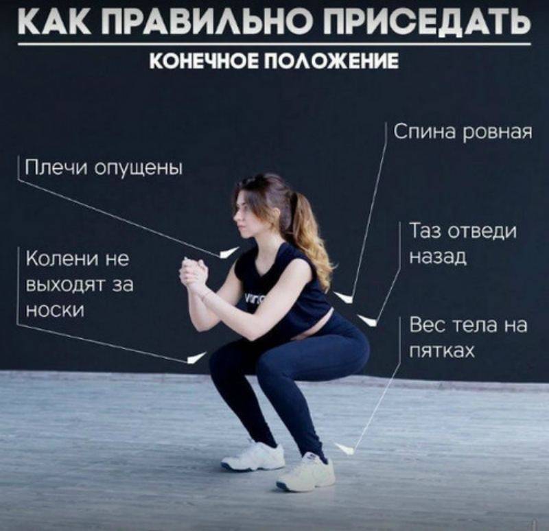 Как правильно приседать с гантелями: тонкости выполнения упражнений - tony.ru