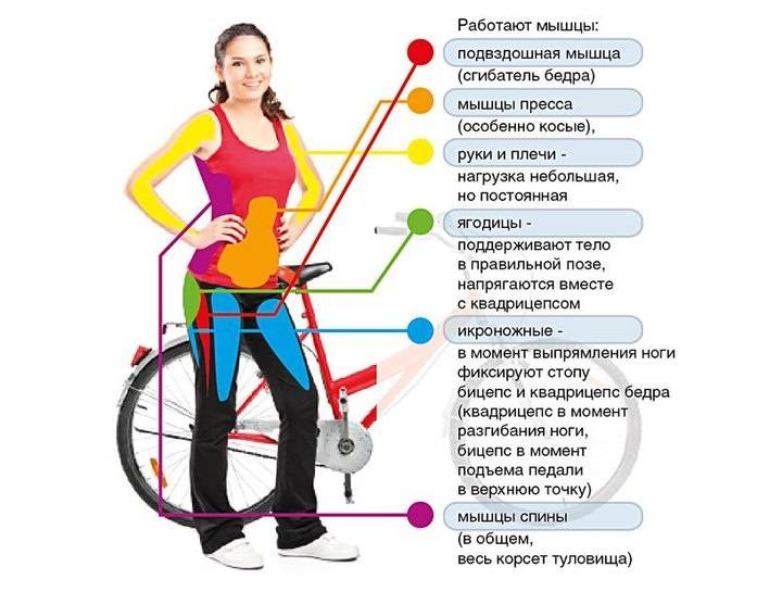 Езда на велосипеде для похудения