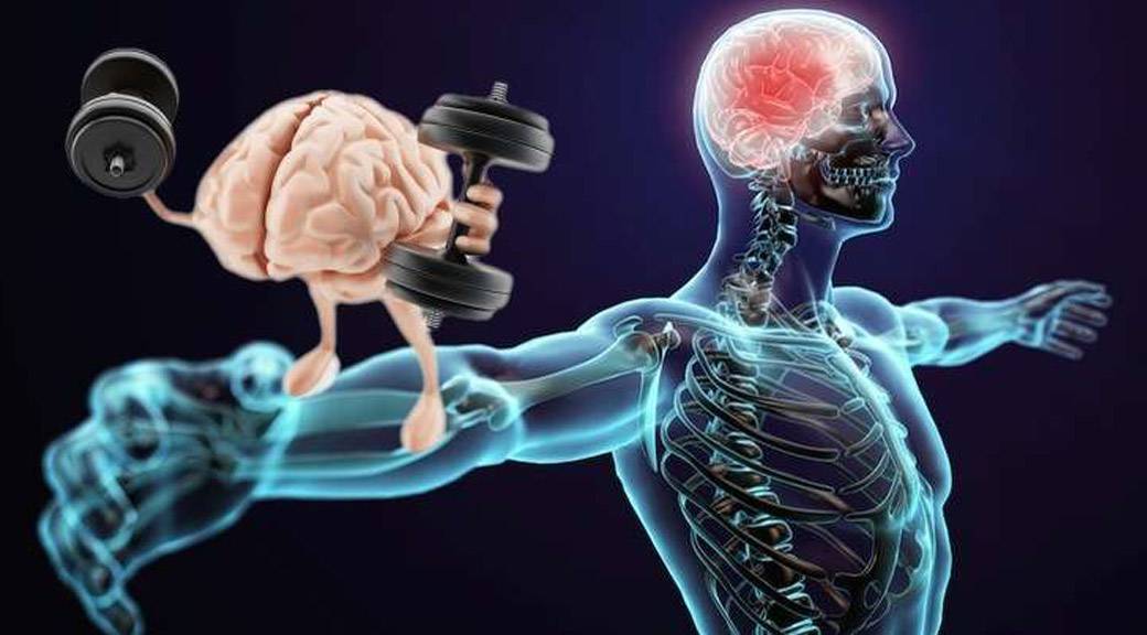 Как развить и улучшить нейромышечную связь для набора мышц