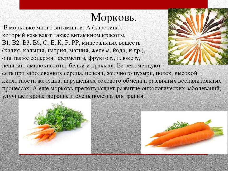 Сок моркови - свойстава и калорийность, польза и вред на your-diet.ru