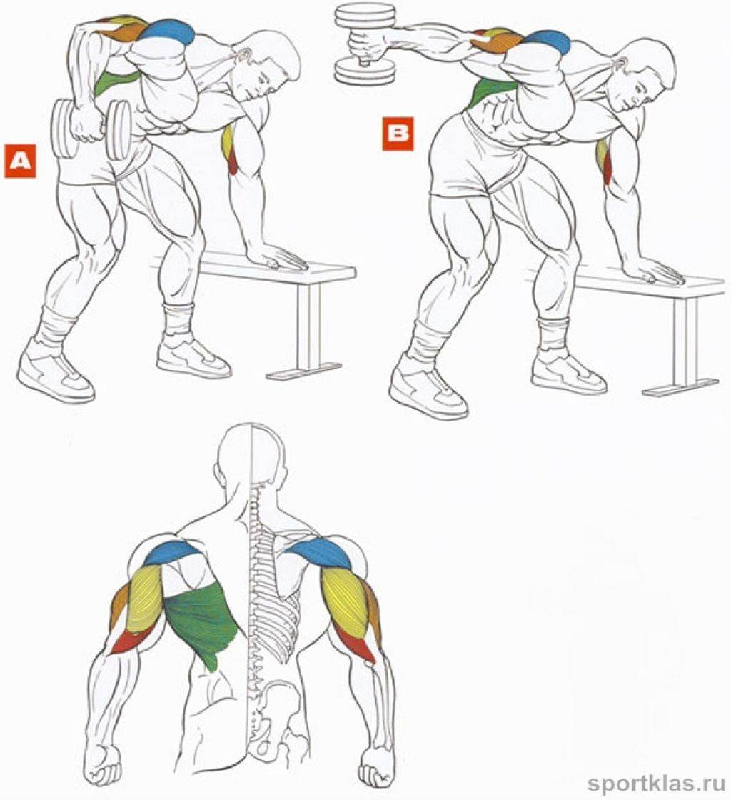 Упражнения для мышц рук. Как качать трицепс гантелями в домашних условиях. Упражнение на трицепс с гантелей. Как накачать трицепс гантелями. Упражнения для прокачки трицепса.